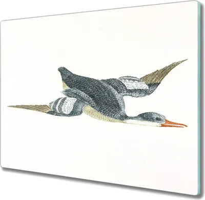 Produktbild von Coloray Küchenbrett Kochplattenabdeckung Hackbrett Schneidebrett Herdabdeckplatte 60x52 cm - Tier Vogel Ente