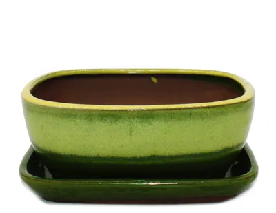 Produktbild von Dehner Bonsaischale, mit Untersetzer, handgefertigter Übertopf, rechteckig, ca. 24 x 9 x 17.5 cm, Keramik, grün / gelb
