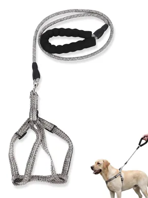 Produktbild von Hundeleine mit Halsband, 1,3 m – Strapazierfähige und bequeme Hundeleine für mittelgroße Hunde