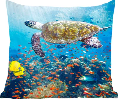 Produktbild von MuchoWow® Zierkissen Sofakissen Wohnzimmer Dekokissen 40x40 cm Schildkröte am Korallenriff - Foto Kissen - Schlafzimmer Dekoration