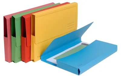Image de Exacompta 25 Chemises à rabats en carton DIN A4 Forever assorties