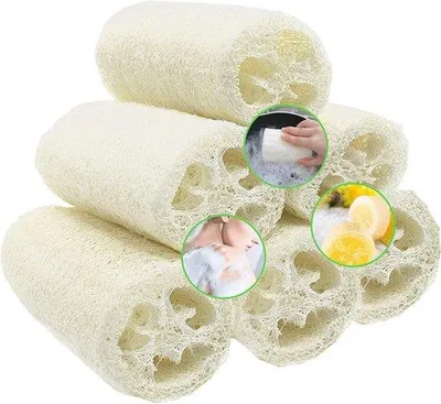 Productafbeelding van Natuurlijke Luffaspons - 6 Stuks Voor Peeling en Lichaamsverzorging