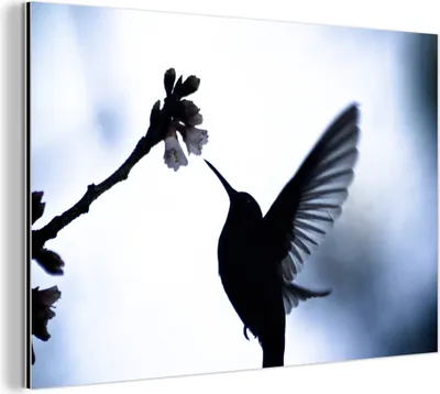 Obrázek produktu pro Nástěnná dekorace Kovový kovový obraz Wall Art 60x40cm Pták - Kolibřík - Silueta Muchowow Hliníkové obrazy