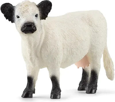 Produktbild von Schleich Galloway-kuh Figuren    One Size