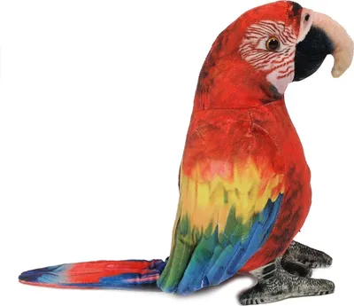 Produktbild von Plüschtier Papagei 22 cm, Grünflügelara, Stofftiere Kuscheltiere Ara Vögel Vogel Papageien Tiere