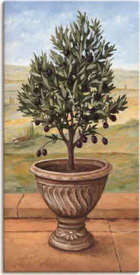 Produktbild von ARTland Leinwandbild Olivenbaum Größe: 50x100 cm