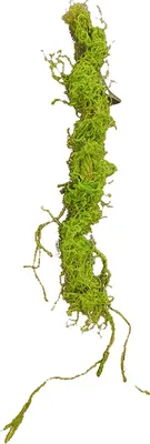 Produktbild von Moos Girlande 110 cm Kunstpflanze Flora