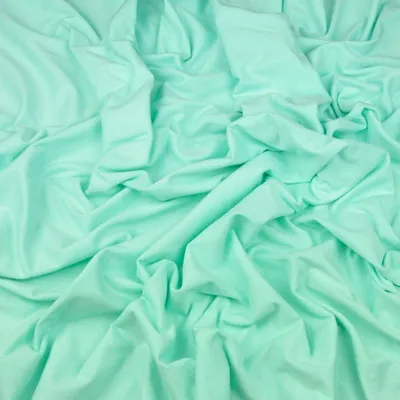 Produktbild von Einfarbiger Jersey-Stoff in Mint