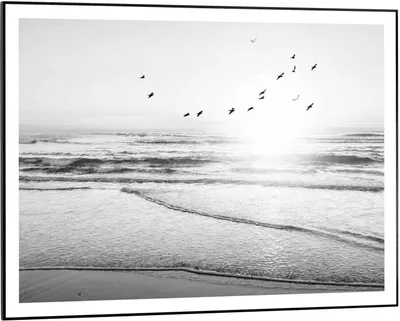Produktbild von Wandbild - Schwarz - Weiß - 70 x 50 cm - Beach Serenity