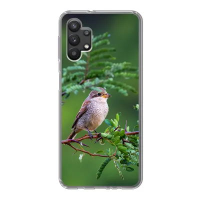 Produktbild von MuchoWow® Handyhülle Schutzhülle Hülle für Samsung Galaxy A32 5G Vogel - Baum - Wald Silikon Softcase Handy Hülle - Softcase