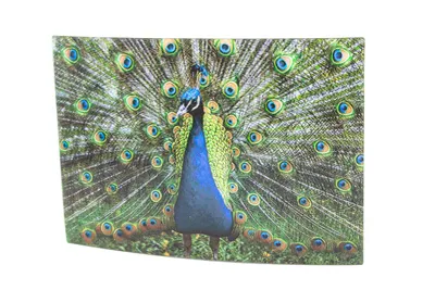 Produktbild von 3 D Ansichtskarte Pfau, Vögel Postkarte Wackelkarte Hologrammkarte Tiere Tier Vogel