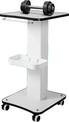 Immagine prodotto di Carrello estetico, Dimensioni 38x34 cm, Capacità di carico 15 kg, Altezza 67 cm, Materiale ferro/legno/ABS, Design moderno