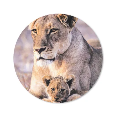Produktbild von MuchoWow® Mauspad Mousepad Löwin - Löwe - Junges 20x20 cm - Mousepads - Maus Mat - Pad - Mausunterlage - Schreibtischmatte