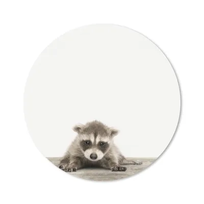 Produktbild von MuchoWow® Mauspad Mousepad Waschbär - Tiere - Jungen - Mädchen 20x20 cm - Mousepads - Maus Mat - Pad - Mausunterlage - Schreibtischmatte