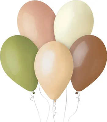 Zdjęcie produktu dla Balony kolory natury, 33 cm, 5 szt.