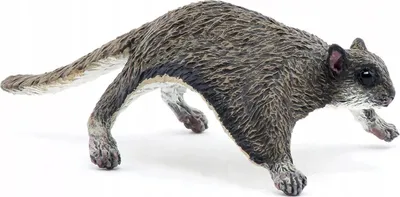 Immagine prodotto di Papo 50296 Scoiattolo volante 6 cm Animali selvatici