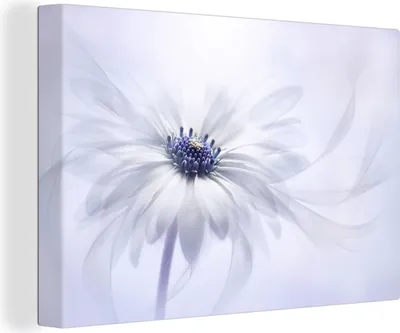 Produktbild von MuchoWow® - Leinwandbilder - Blume - Abstrakt - Weiß, Wandbild, Wanddeko Bilder Wohnzimmer, 120x80 cm