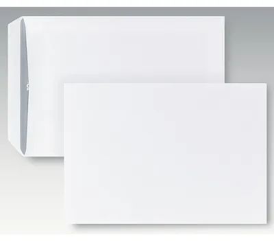 Immagine prodotto di Busta POSTHORN 04240321 C5 oF sk ws 500 pz./confezione.