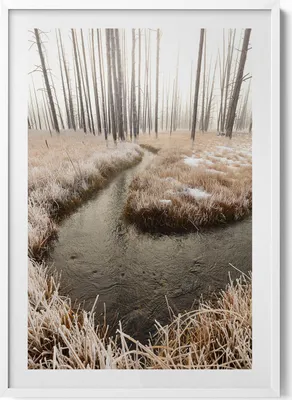 Produktbild von Fluss in einem Wald im Winter– Wandbild mit Rahmen – Gerahmtes Bild  – Wanddekoration – 70x100 cm –  Weiß Rahmen