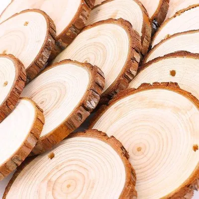 Immagine prodotto di Dischi di legno, 25 pezzi, 8-9 cm, con corteccia, non levigati, preforati