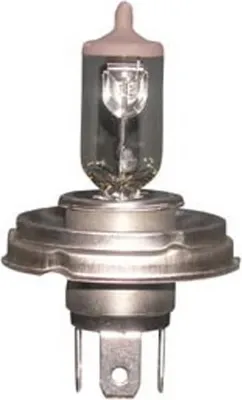 Productafbeelding van FLOSSER 60-55W Halogeenlamp, 12V