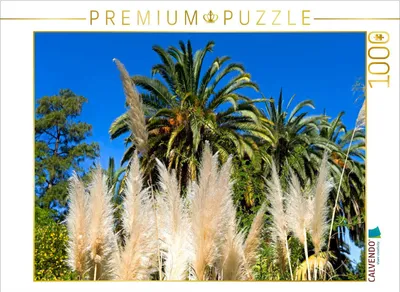 Produktbild von CALVENDO Puzzle Cortaderia selloana (Pampasgras) | 1000 Teile Lege-Größe 64x48cm Foto-Puzzle für glückliche Stunden