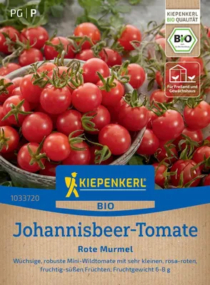 Produktbild von Kiepenkerl  Johannisbeer-Tomatensamen Rote Murmel Solanum pimpinellifolium 10 Pflanzen