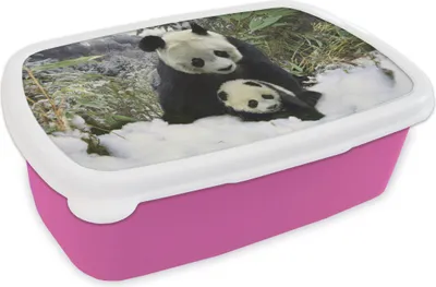 Produktbild von KitchenYeah® Lunchbox Brotzeit Brotdose 17x11 cm Panda - Winter - Schnee Kinder Brotzeitdose - Lunchpaket - Brotkasten  - Sandwich Box