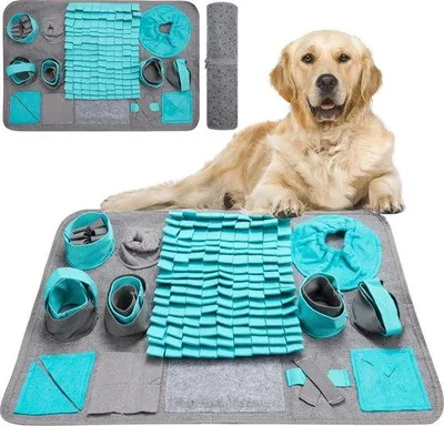 Produktbild von Famanu Trainingsmat für Hunde, waschbar, 66 x 42 cm