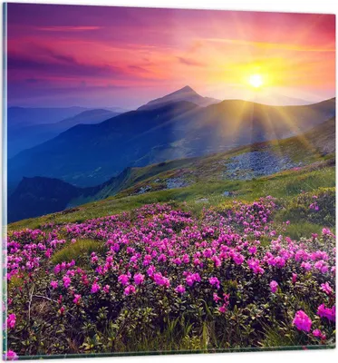 Produktbild von Bilder auf glas - Wiese Berge Landschaft - 60x60cm - Glasbilder - Wandbilder - Kunstdruck - zum Aufhängen bereit - Wanddekoration aus Glas - Glas Bilder - Wandbild auf Glas - Einteilig - GAC60x60-2676