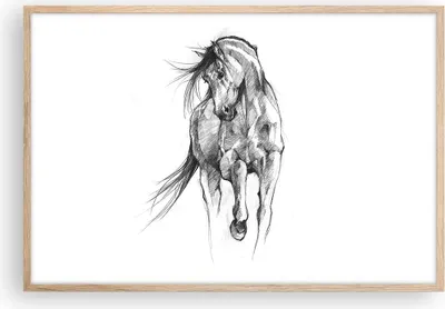 Produktbild von Gerahmtes Poster - Rahmen in heller Eiche - Pferd Galopp Tier - 91,5x61 cm - Wand Bild - Wanddeko - Wandbilder - Kunstposter - Wandposter - Bilderrahmen - Bilder - Kunstdruck - P2NAA91x61-5080