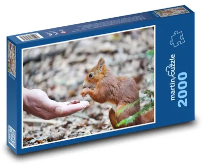 Zdjęcie produktu dla martinpuzzle - Puzzle 2000 - Veverka - hlodavec