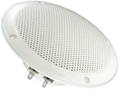 Produktbild von Visaton FR 13 WP Einbau-Lautsprecher, passiv, 60 Watt, 110 mm Einbautiefe