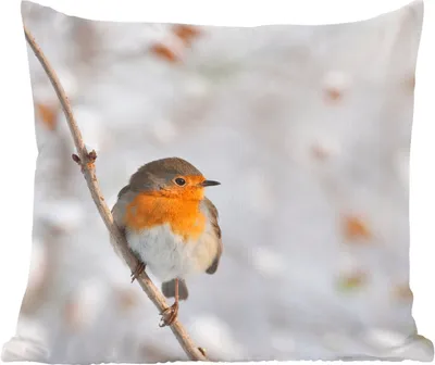 Produktbild von MuchoWow® Zierkissen Sofakissen Wohnzimmer Dekokissen 60x60 cm Vogel - Rotkehlchen - Winter - Sitzfläche - Foto Polster