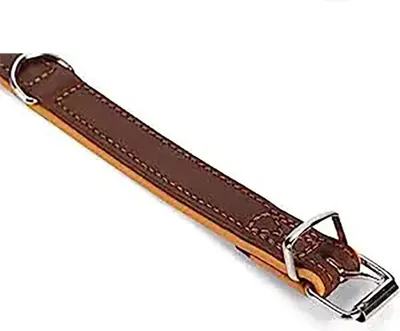 Produktbild von Karlie Rondo 27 Mm Hundehalsband Braun 47 cm Braun 47 cm