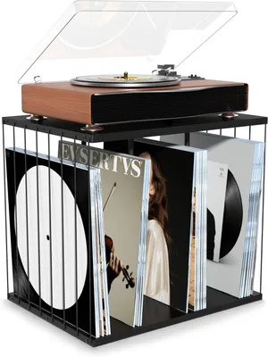 Obrázok produktu pre Vinyl box 3 priehradky, pre až 100 albumov, čierna, drevo a kov, pre obývačku