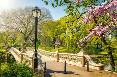 Produktbild von Muralo Fototapete Stadt NY 520 (B) x 318 (H) cm Vlies Tapete Wandtapete Fluss Blumen Bäume New York Park Brücke Wohnzimmer Schlafzimmer moderne Wandbild Architektur Wand Dekoration