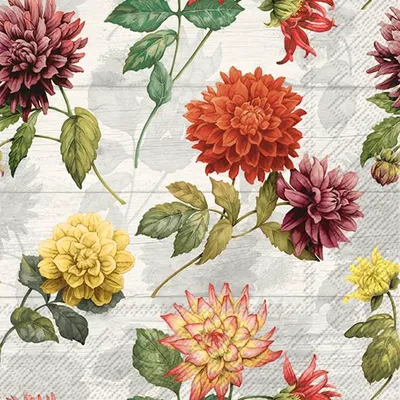 Produktbild von Servietten 33x33 cm - GEMMA cream