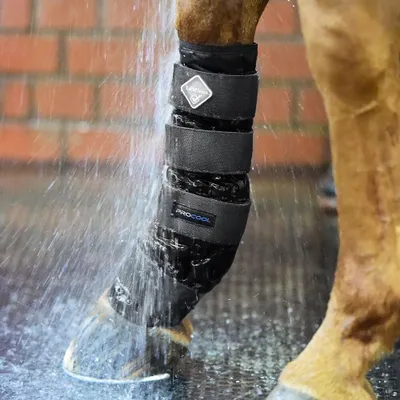 Image de Guêtres de refroidissement LeMieux Cold Water Boots