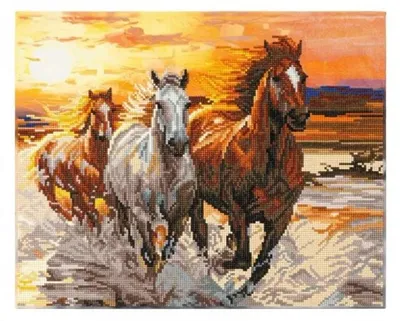 Produktbild von Diamond Dotz – Sonnenuntergangsgalopp