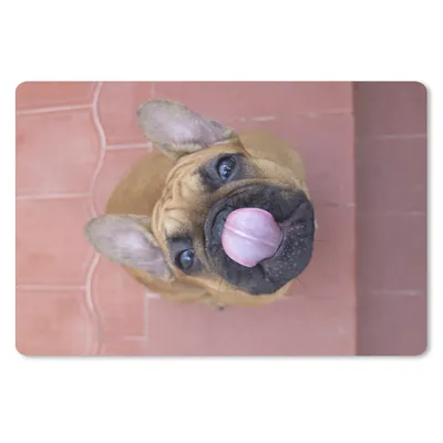 Produktbild von MuchoWow® Mauspad Mousepad Ein Welpe einer Französischen Bulldogge 27x18 cm - Mousepads - Maus Mat - Pad - Mausunterlage - Büroartikel - Desk Matten
