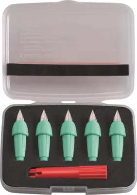 Produktbild von STABILO EASYbirdy Pastel Schreibeinsatz 5er Box Feder M mint