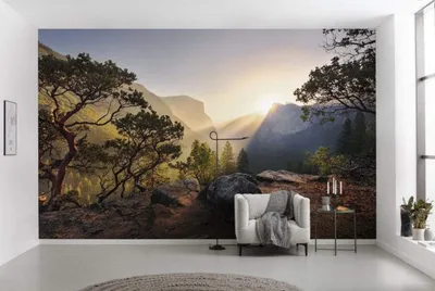Immagine prodotto di Carta da parati Komar in tessuto non tessuto "Yosemites Secret" - Dimensioni: 450 x 280 cm (larghezza x altezza) - 9 pannelli