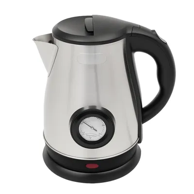 A stainless steel electric kettle with a black lid and handle, featuring a built-in thermometer.