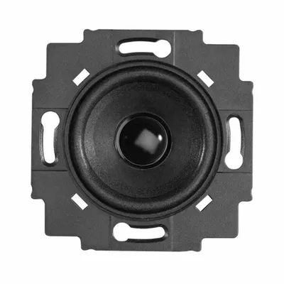 Produktbild von Busch-Jaeger Lautsprecher-Einsatz, 8223U, 5cm, 2W RMS, 4Ohm, für Busch-Radio DAB+ und BTconnect, 1 Stk.