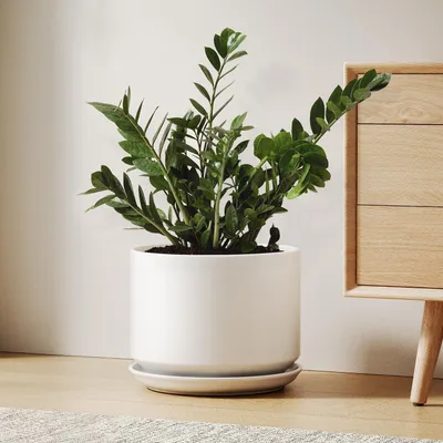 Produktbild von Keramik-Blumentopf 25 cm Übertopf mit Untersetzer & Drainageloch Weiß