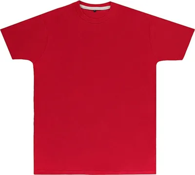Image de SG Signature Signature Tagless Tee Men