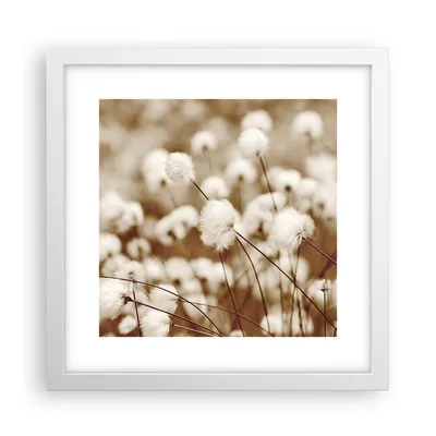 Produktbild von Gerahmtes Poster - Weißer Rahmen - Baumwolle Boho Wollig - 30x30 cm - Wand Bild - Wanddeko - Wandbilder - Kunstposter - Wandposter - Bilderrahmen - Bilder - Kunstdruck - P2WAC30x30-4850