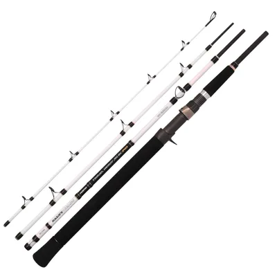 Produktbild von Spro Salty Beast Nano Mega Jig Travel BC 240cm 450g - Meeresrute