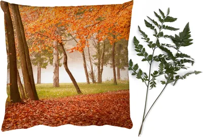 Produktbild von MuchoWow® Zierkissen Sofakissen Wohnzimmer Dekokissen 50x50 cm Blätter - Herbst - Wald - Komfort - Sofakissen